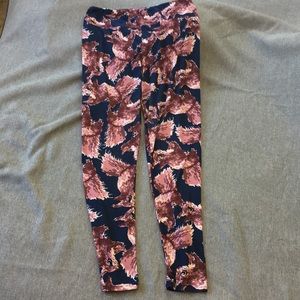 Lularoe Tall & Curvy Squirrel Print Leggings